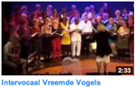 Vreemde vogels